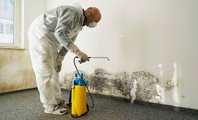 Best Residential Mold Inspection & Testing  in Ladue, MO